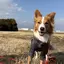 Kのプロフィール画像