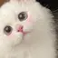 みずきのプロフィール画像