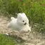 なーのプロフィール画像