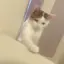 mのプロフィール画像