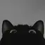 ちゃちゃまるのプロフィール画像