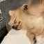 ぽんのプロフィール画像