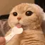 ななのプロフィール画像