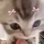 miyuのプロフィール画像