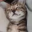 ちちゃんのプロフィール画像