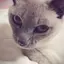 HARUのプロフィール画像