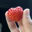 ぷーんのプロフィール画像