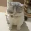 みのプロフィール画像