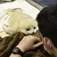 9eenのプロフィール画像