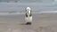 もえのプロフィール画像