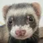 めめぞうのプロフィール画像