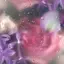 Meiのプロフィール画像