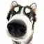 モモカのプロフィール画像