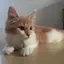 Sのプロフィール画像