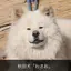 拓巳のプロフィール画像