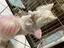 みるみるのプロフィール画像