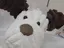 ぽこのプロフィール画像