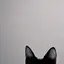 ミのプロフィール画像