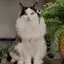 サラのプロフィール画像