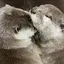 清華のプロフィール画像