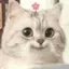 りりたろのプロフィール画像