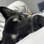 さとうのプロフィール画像