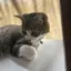 まのプロフィール画像