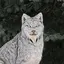 さくらのプロフィール画像