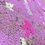 maiのプロフィール画像