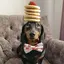 マツモトのプロフィール画像