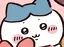ハチワレのプロフィール画像