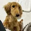 ゆーのプロフィール画像