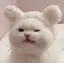 ねこじゃらしのプロフィール画像