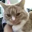 ゆなのプロフィール画像