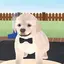 Harryのプロフィール画像