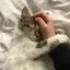mocaのプロフィール画像