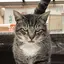 hidechanのプロフィール画像