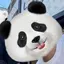 ぺーぺぺのプロフィール画像