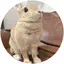 里佳のプロフィール画像