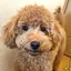 まのプロフィール画像