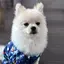 じゅえりのプロフィール画像