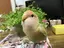 naomitchのプロフィール画像