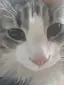 みまのプロフィール画像