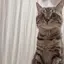 るんぴのプロフィール画像
