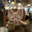 Amaのプロフィール画像