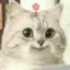 あおいのプロフィール画像