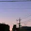 ワカのプロフィール画像