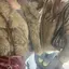 あゆのプロフィール画像