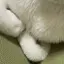 tarutochanのプロフィール画像