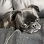 ふじのプロフィール画像